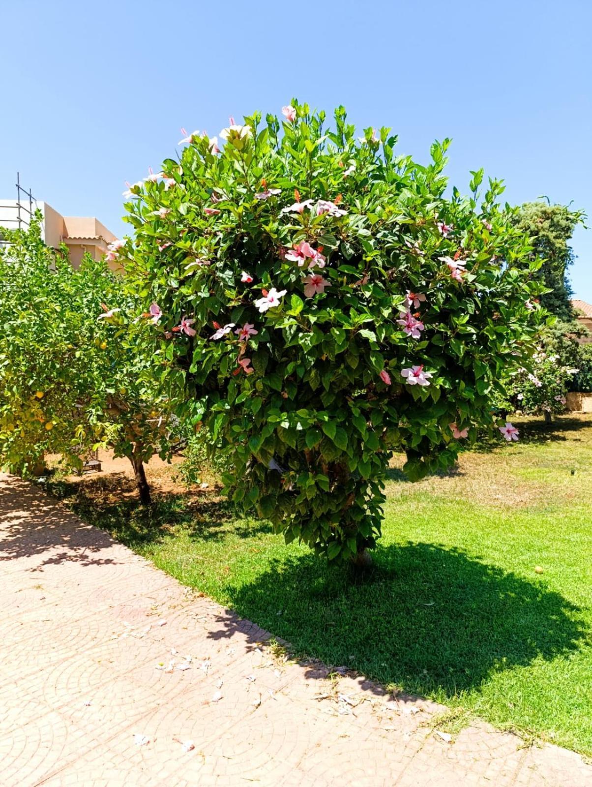 فيلا Casa In Giardino A Pochi Passi Dal Mare باليرمو المظهر الخارجي الصورة